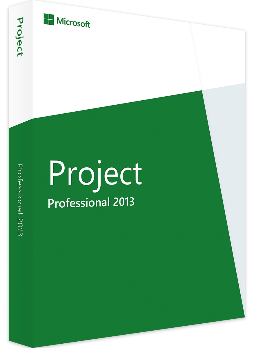 Microsoft Project 2013 Professional